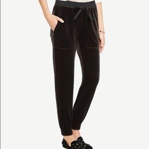Ann Taylor Velvet Joggers